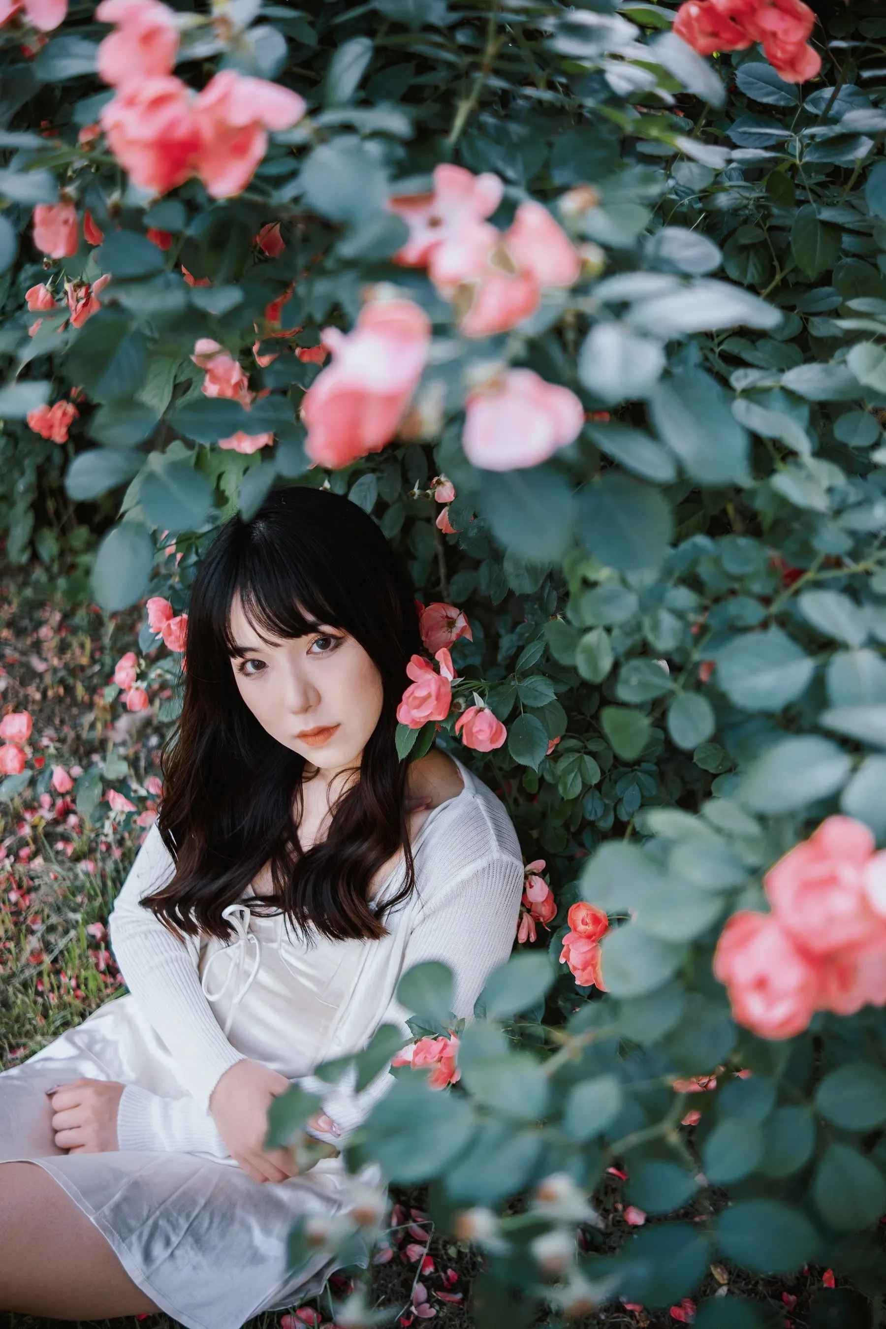 [艺图语] 2022.06.10 蔷薇花下 依依 [25P]插图5